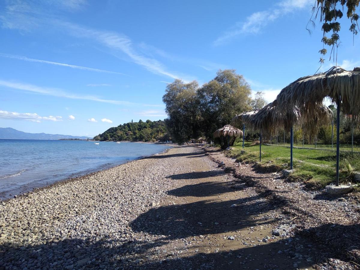 Kalypso Relaxing Shelter Lejlighed Arkítsa Eksteriør billede